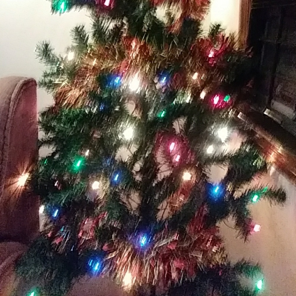 Christmas Trees